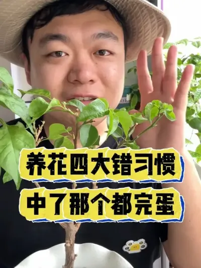 �ĸ�������ϰ���������ĸ����ǰ׻�Ǯ�� #���� #����С֪ʶ #������ֲ #���� #����