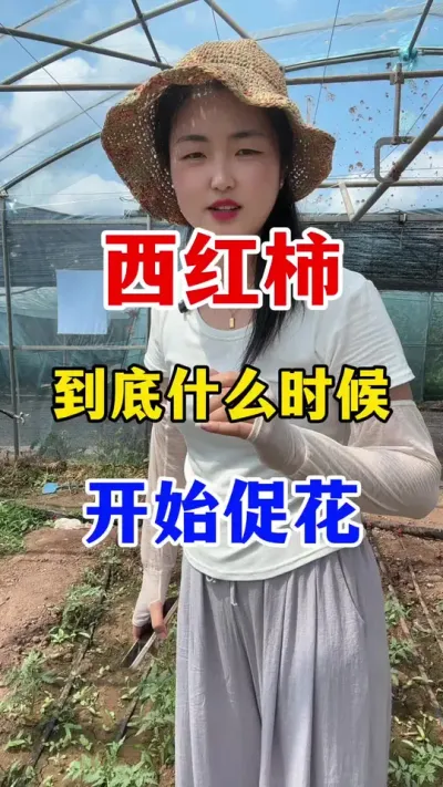 ����������ʲôʱ�����ȴٻ��� #������ݪֲ #������ݪֲ����