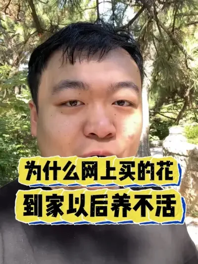 Ϊʲô������������Ļ����ּ��Ժ��������� #���� #����С֪ʶ #���� #������ֲ #����