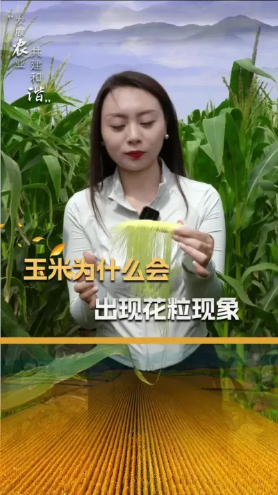 ����Ϊʲô�᷺��������#��ũ #����ݪֲ #��ũ������ #����ݪֲ���� #��������