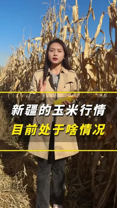 �½��������������ڴ���ɶ����#��ũ #����ݪֲ #����ݪֲ���� #�������� #������ũ��