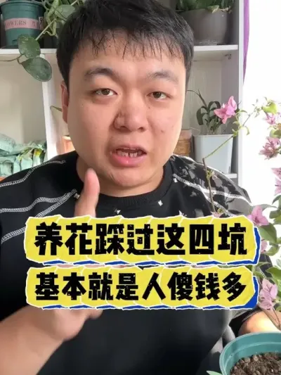 �����ȹ����Ŀ��������Ͼ�����ɵǮ���� #����С֪ʶ #���� #������ֲ #���� #����