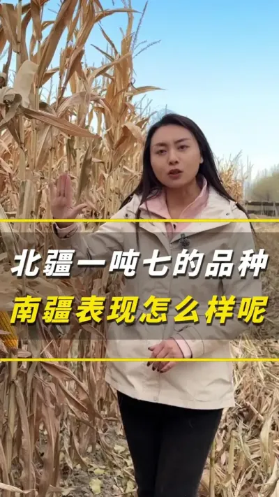 ����һ���ߵ�Ʒ�����Ͻ�������ô����#��ũ #����ݪֲ #����ݪֲ���� #�������� #������ũ��