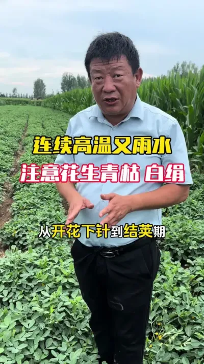 һ�����¼�����ˮ֮����������ݲ��׾���ر���#����ݪֲ #����ݪֲ�������� #�����߲� #�������� #ë��������߲�����