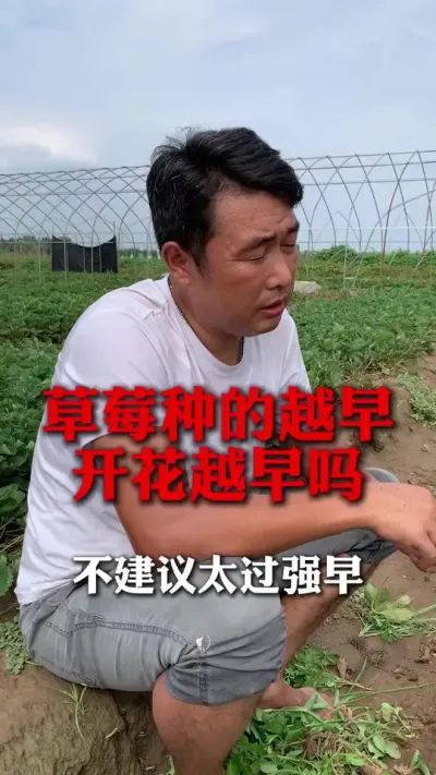 ��ݮ������̫��ǿ��ȥ��#��ݮݪֲ #��ݮݪֲ���� #��ũ������ #��ݮ���� #����ũҵ֪ʶ��ũ����������