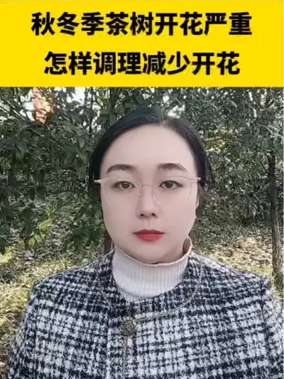 �ﶬ�������Ż���������������̭�Ż�#����