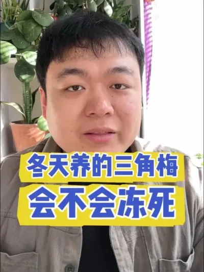 ���������÷�᲻�ᶳ���� #���� #���� #����С֪ʶ #���� #������ֲ