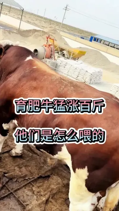 ţǰٽô#ţ #ţ #ţ #ţ