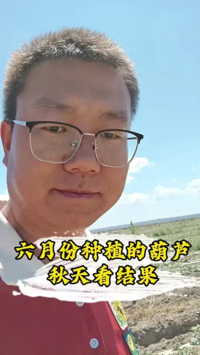 ���·�ݪֲ�ĺ�«������һ��������#�����