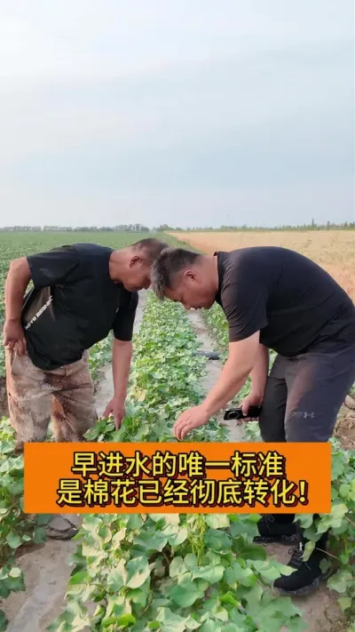 ����ˮ�ı�׼��#2025��ũ������ #2025��ũ�� #ݪֲС���� #ݪֲ���� #֧����ũ������ũ����