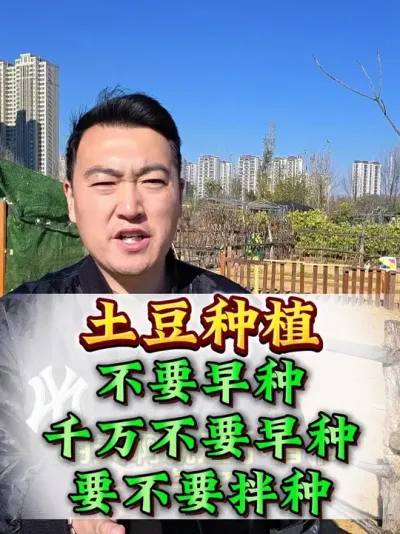 种土豆，千万不能早种，谁早种谁后悔 #土豆 #土豆种植 #土豆高产 #三农流量扶持计划 #农业