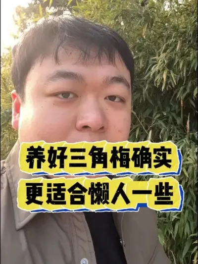 Ϊɶ������÷���ʺ�����һЩ�� #���� #����С֪ʶ #���� #������ֲ #����