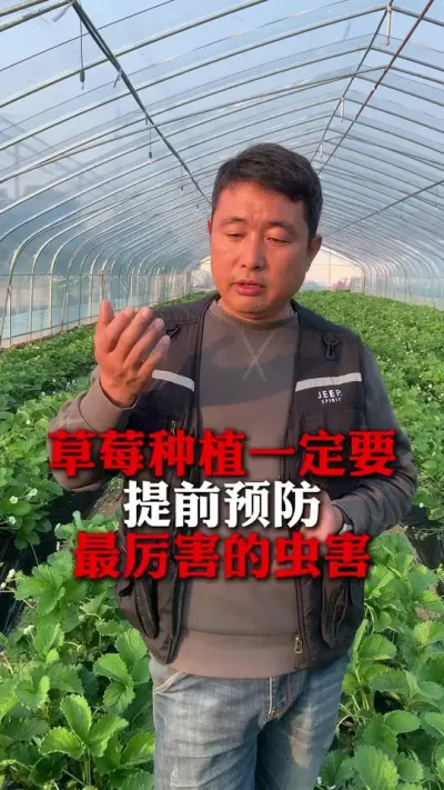 һ��Ҫ��ǰԤ���ĳ溦#��ݮݪֲ #��ݮ���� #��ݮݪֲ���� #����ũҵ֪ʶ��ũ���������� #��ũ������