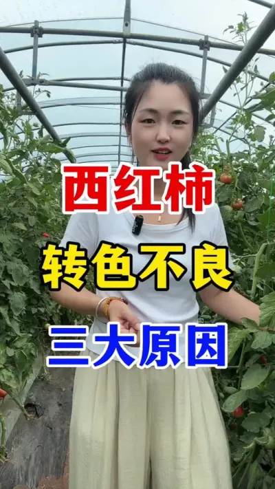 ����������תɫ��������ʲôԵ��ԭ�� #������ݪֲ #������ݪֲ����