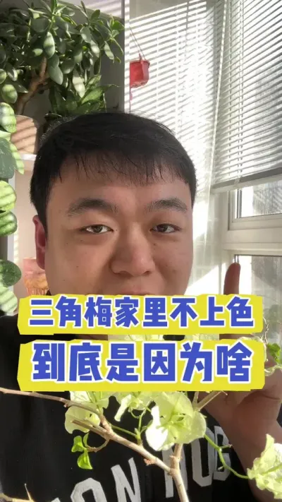 ����÷����������ɫ������ɶ�� #���� #������ֲ #���� #���� #����С֪ʶ