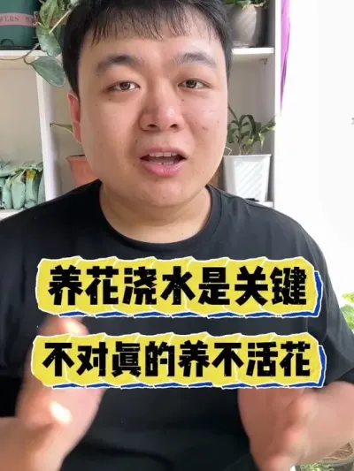 ������ˮ�����Ҫ�������в�ؿ��ܾͻ�ѻ������� #���� #������ֲ #���� #����С֪ʶ #����