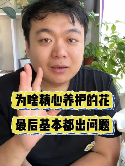 Ϊɶȫ�������Ļ����ܲ������������������� #���� #����С֪ʶ #������ֲ #���ܻ��� #����