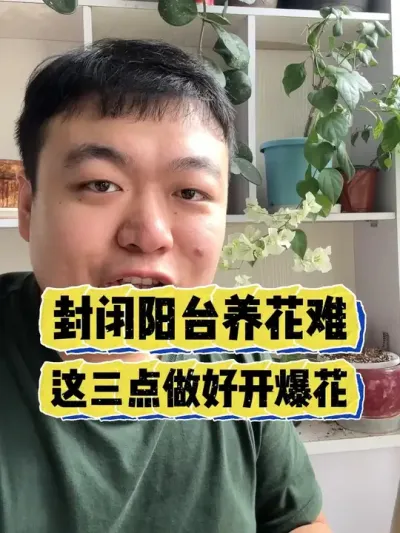 �ر���̨��Ȼ������������������������һ���ܱ����� #���� #����С֪ʶ #���� #������ֲ #����