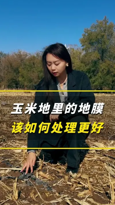 ���׵���ĵ�Ĥ���������ø���#��ũ #����ݪֲ #����ݪֲ���� #�������� #������ũ��