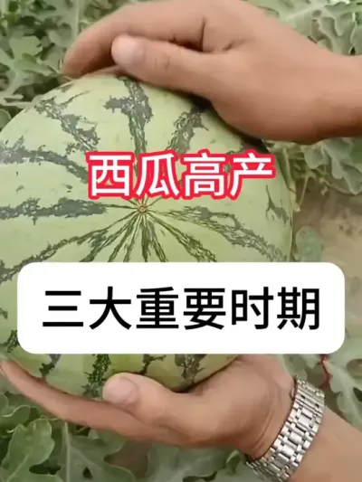 Ҫ߲? ϸ߲Ҫʱ#ũ #ũ֧ũ #ݪֲ #ղӲԭ #ʩ