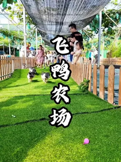 在农业观光园中打造园中园模式，4年接待30万人次#游云文旅 #规划设计 #乡村振兴 #周二课堂
