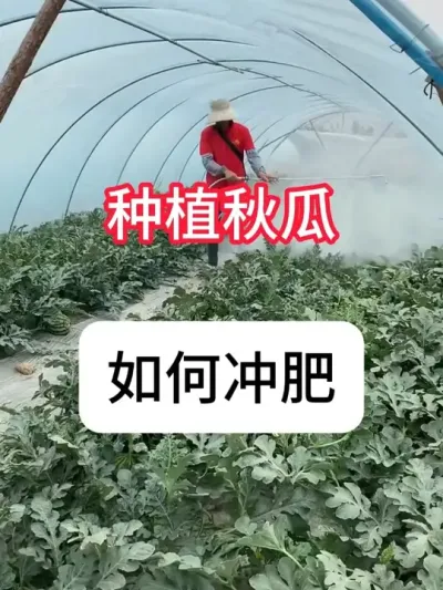  ＾ʩҪ#ũ #ũ # #ʩ #ղӲԭ