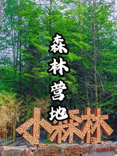 占地二十亩打造森系营地，四百万打造，一年内回本#游云文旅 #规划设计 #乡村振兴 #周二课堂