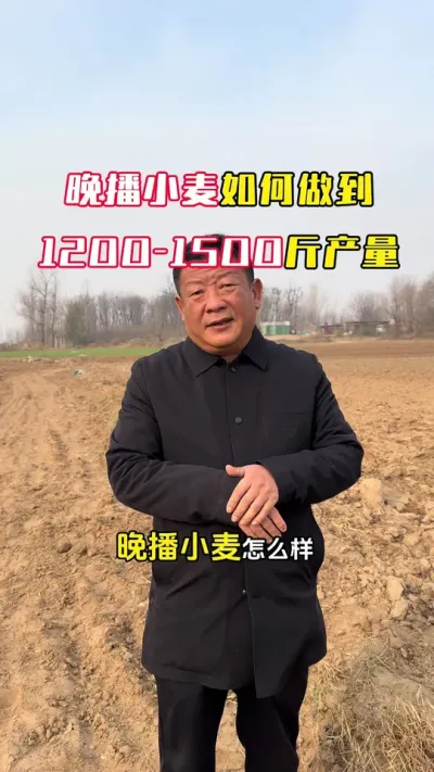 ����С����������1200-1500���ֹ�����##С��#С��ݪֲ#ݪֲ�� #С��߲�#ë��������߲�����