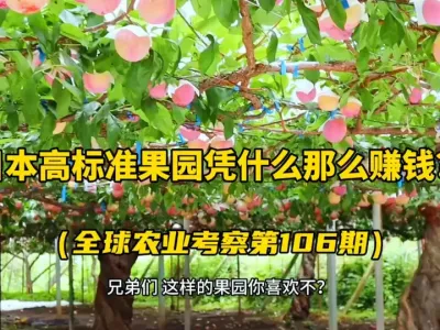 �ձ��ĸ߱�׼��԰ƾʲô��ô�𣿣����������Ҵ����ֳ�����ѧϰ �Ӹ߱�׼��԰�Ľ��衢Ʒ�����ס���԰�������ִ�ũ�������ع�Ӧ��������������ȫ��ѧϰ���������ӡ����ӡ��桢����...#��԰���� #�ձ�ũҵ  #���� #���� #����