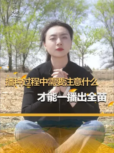 播种过程中需要注意什么才能一播出全苗 #玉米种植 #玉米种植技术 #玉米种子 #三农 #抖音新农人