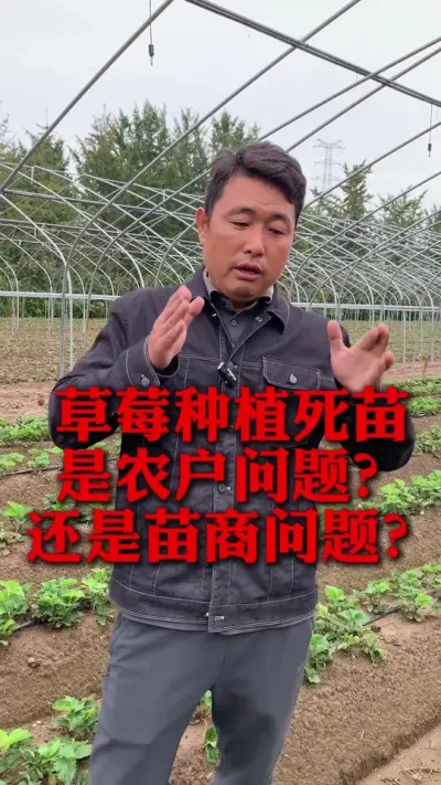  ˭#ݮݪֲ #ݮ #ݮݪֲ #ũҵ֪ʶũ #ũ