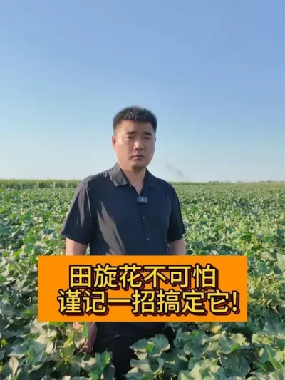 ������������ ����һ�и㶨�� #��ũ������2025#ݪֲС���� #֧����ũ������ũ���� #�½��޻� #������ũ