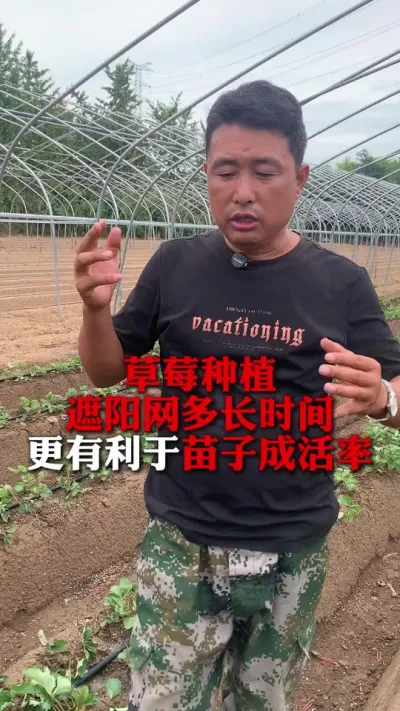 ݮʹ׼ȷӳɻ#ݮݪֲ #ݮݪֲ #ũҵ֪ʶũ #ũ #ݮ