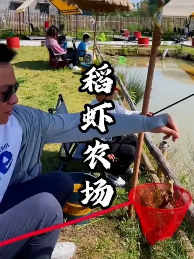 ��Ϻũ��#��������  #�������  #�ܶ����� #ũ������