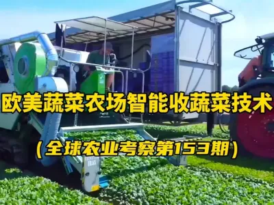 ŵũչŷ߲ũղ˼ ŷ߲ũҶ߲ɵջ¶졢ﶼӦԣ#ŵũչ #ֲ߲ #ǻũҵ #ũҵе