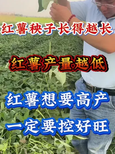 ��������Խ��������������Խ��#����ݪֲ  #�����߲�ݪֲ  #�����߲�  #����ݪֲ֪ʶ