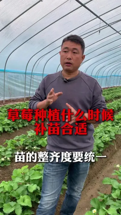 ����ʲôʱ�����#��ݮݪֲ #��ݮݪֲ���� #��ݮ���� #����ũҵ֪ʶ��ũ���������� #��ũ������