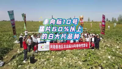 һ�����������10���ֳ���Ħ��Բ���ֳ���������ǿ������Ƭ������??�������ݪֲ����һ�º���(*�R&cup;�Q)ʵ�ⵥ���������ߴ�472�������۹Ͼ�ϸ��ƽ���������1.4cm����Ƭ�������60%�������ǰ״�Ƭ��