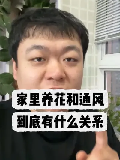 �ڼ���������͸����������ʲô��ϵ�� #���� #����С֪ʶ #���� #������ֲ #����