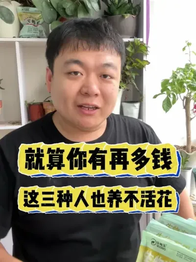 ��������������Ǯ����������Ҳ������� #���� #����С֪ʶ #���� #������ֲ #����