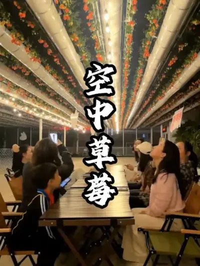 ���в�ݮ#��������  #�������  #�ܶ�����  #ũׯ����