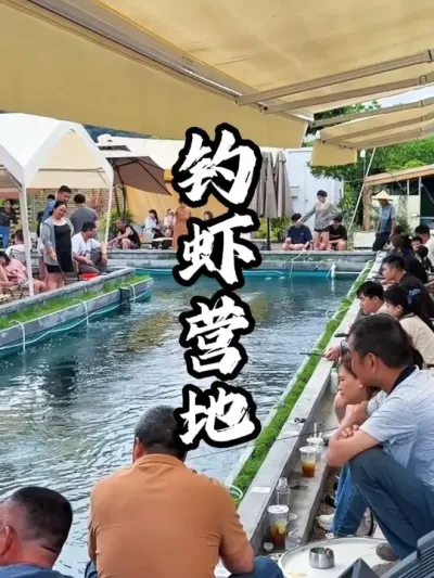 ��ϺӪ��#��������  #�������  #�ܶ����� #Ӫ������