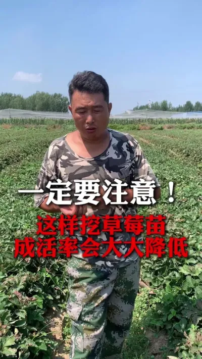 һ��Ҫע�أ�#��ݮݪֲ #��ݮ���� #��ݮݪֲ���� #����ũҵ֪ʶ��ũ���������� #��ũ������