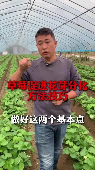 ٻѿֽҪ#ݮݪֲ#ݮ #ݮݪֲ #ũҵ֪ʶũ #ũ