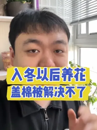 �붬�Ժ����������ޱ��ǽ������������� #���� #����С֪ʶ #���� #������ֲ #����