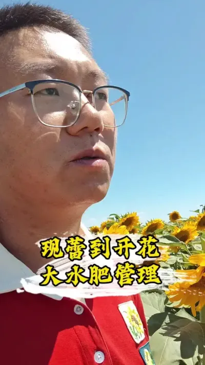 ���Ͻ�������������������ʪ�Ⱥ���Ҫ#�����