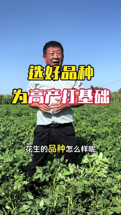 ѡ��Ʒ��ѡ��Ʒ�����Ǹ߲��ĵ�һ��#����ݪֲ #����ݪֲ�������� #�����߲� #�������� #ë��������߲�����