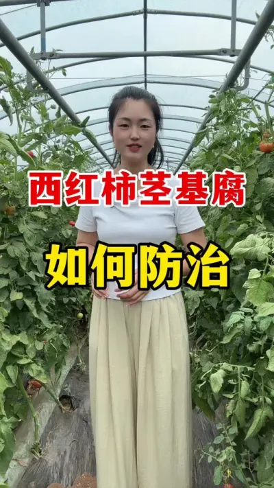 �������ľ�������������ô������ #������ݪֲ #������ݪֲ����