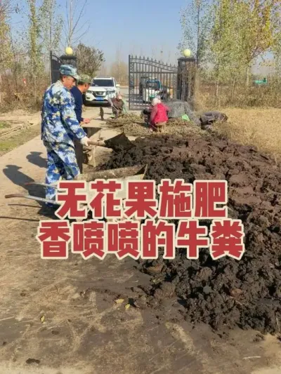 �����ţ��Ż����������۵��޻���??#�����޻���ݪֲרҵ������ #�޻�������#�����޻���