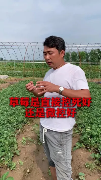 ��ݮ��ֱ�ӿ������վ�΢�غ�#��ݮݪֲ #��ݮݪֲ���� #��ݮ���� #��ũ������ #����ũҵ֪ʶ��ũ����������